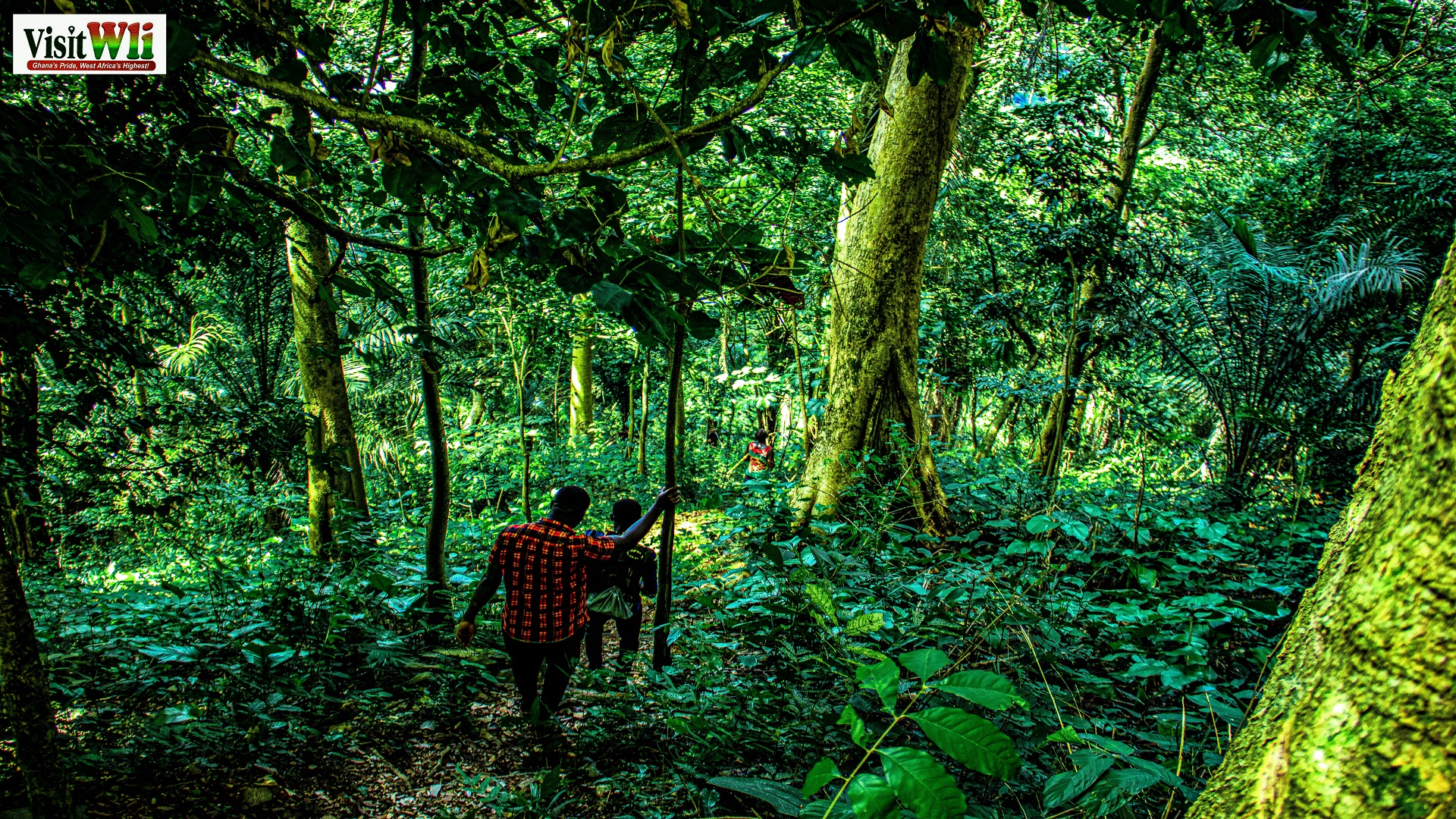 Natural Storytellers